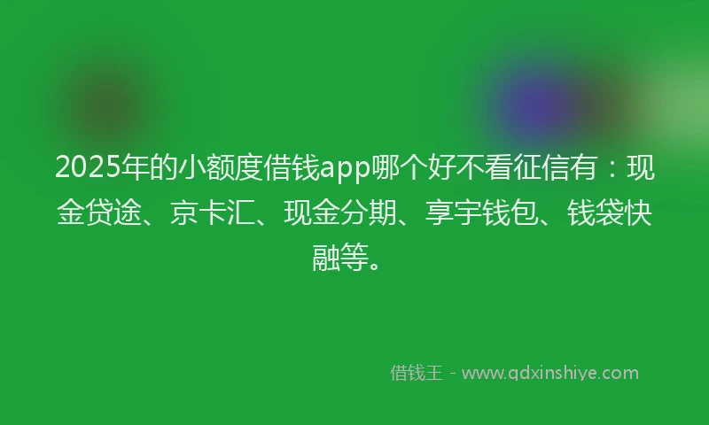 2025年的小额度借钱app哪个好不看征信有：现金贷途、京卡汇、现金分期、享宇钱包、钱袋快融等。