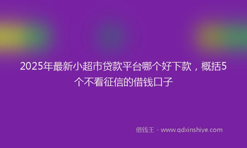 2025年最新小超市贷款平台哪个好下款，概括5个不看征信的借钱口子