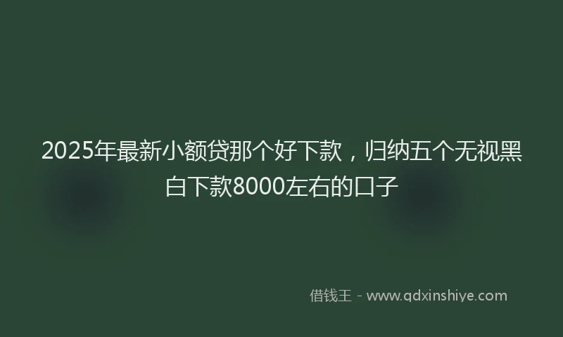 2025年最新小额贷那个好下款，归纳五个无视黑白下款8000左右的口子