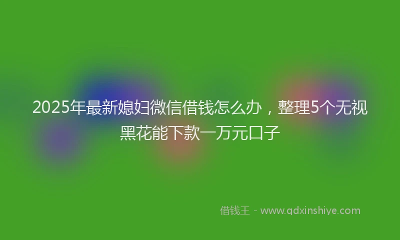 2025年最新媳妇微信借钱怎么办，整理5个无视黑花能下款一万元口子