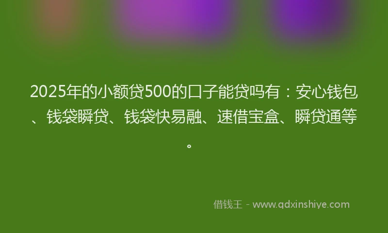 2025年的小额贷500的口子能贷吗有：安心钱包、钱袋瞬贷、钱袋快易融、速借宝盒、瞬贷通等。