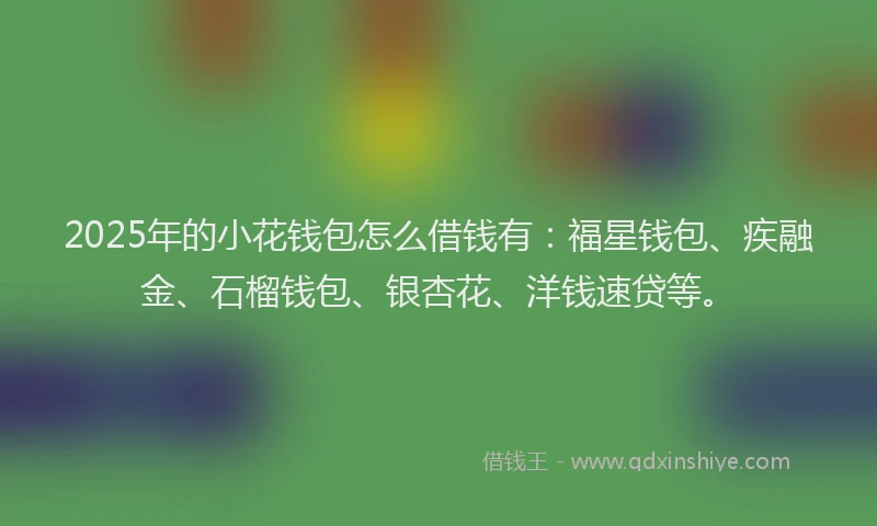 2025年的小花钱包怎么借钱有：福星钱包、疾融金、石榴钱包、银杏花、洋钱速贷等。
