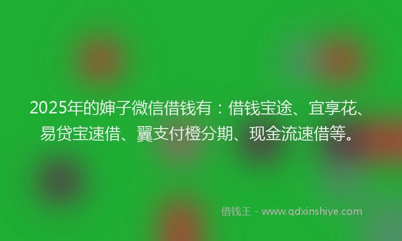 2025年的婶子微信借钱有：借钱宝途、宜享花、易贷宝速借、翼支付橙分期、现金流速借等。
