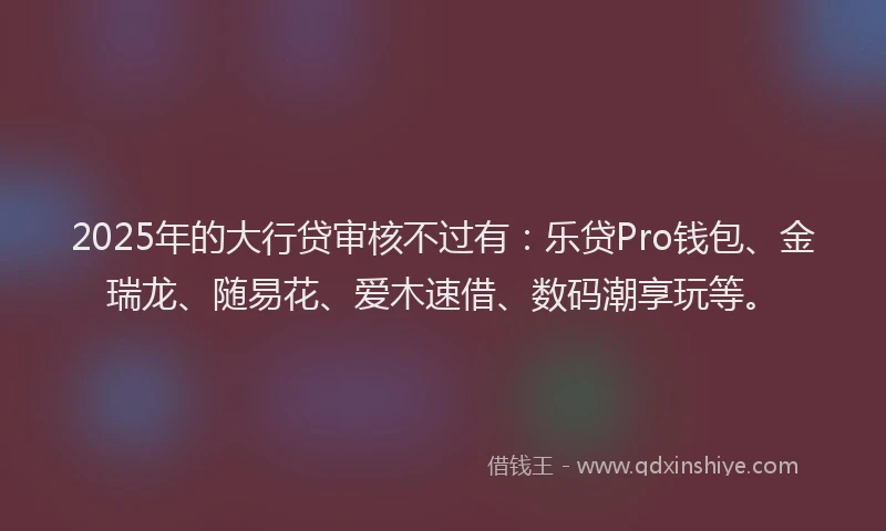2025年的大行贷审核不过有：乐贷Pro钱包、金瑞龙、随易花、爱木速借、数码潮享玩等。