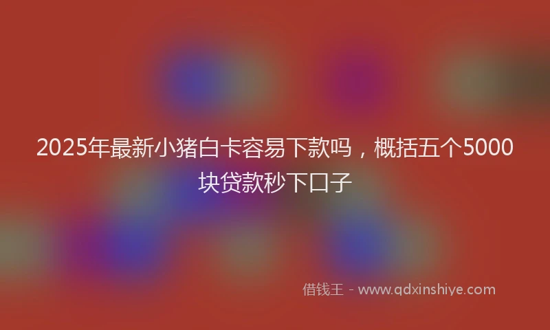 2025年最新小猪白卡容易下款吗，概括五个5000块贷款秒下口子