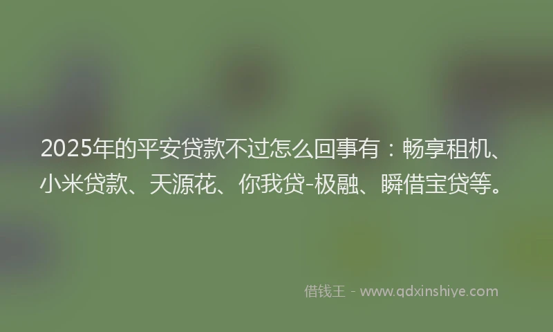 2025年的平安贷款不过怎么回事有：畅享租机、小米贷款、天源花、你我贷-极融、瞬借宝贷等。