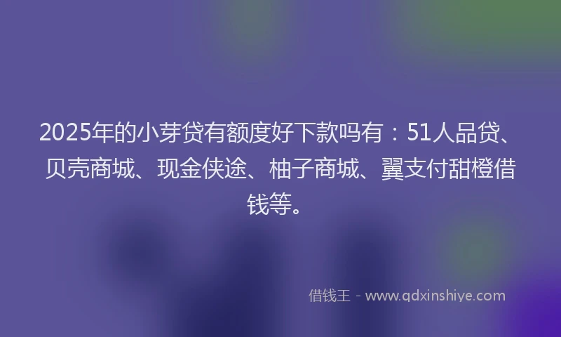 2025年的小芽贷有额度好下款吗有：51人品贷、贝壳商城、现金侠途、柚子商城、翼支付甜橙借钱等。
