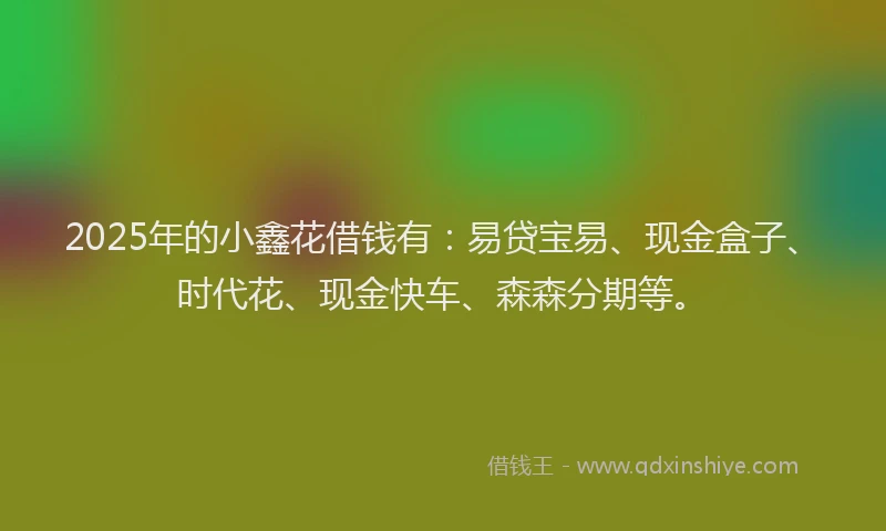 2025年的小鑫花借钱有：易贷宝易、现金盒子、时代花、现金快车、森森分期等。