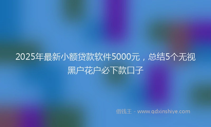 2025年最新小额贷款软件5000元，总结5个无视黑户花户必下款口子