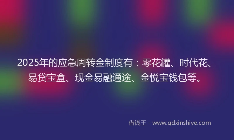 2025年的应急周转金制度有：零花罐、时代花、易贷宝盒、现金易融通途、金悦宝钱包等。