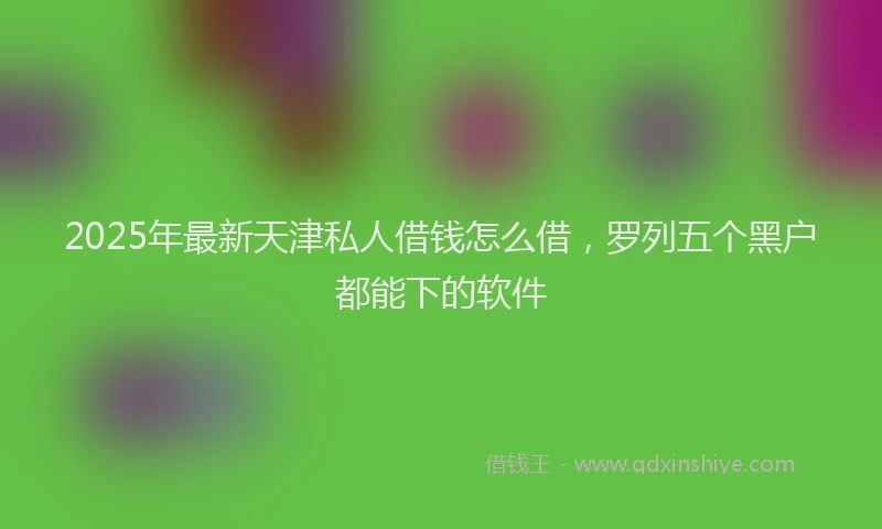 2025年最新天津私人借钱怎么借，罗列五个黑户都能下的软件