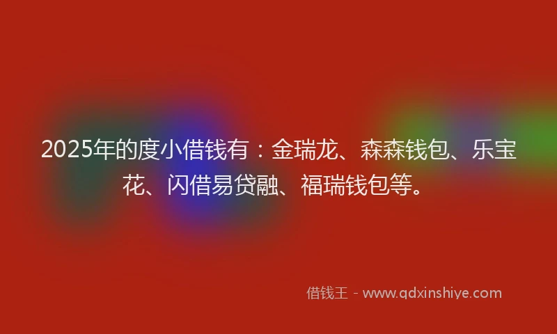 2025年的度小借钱有：金瑞龙、森森钱包、乐宝花、闪借易贷融、福瑞钱包等。