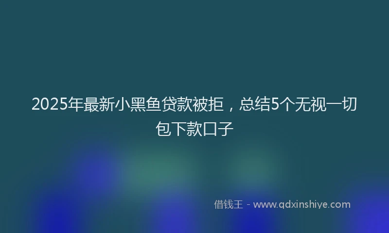 2025年最新小黑鱼贷款被拒，总结5个无视一切包下款口子