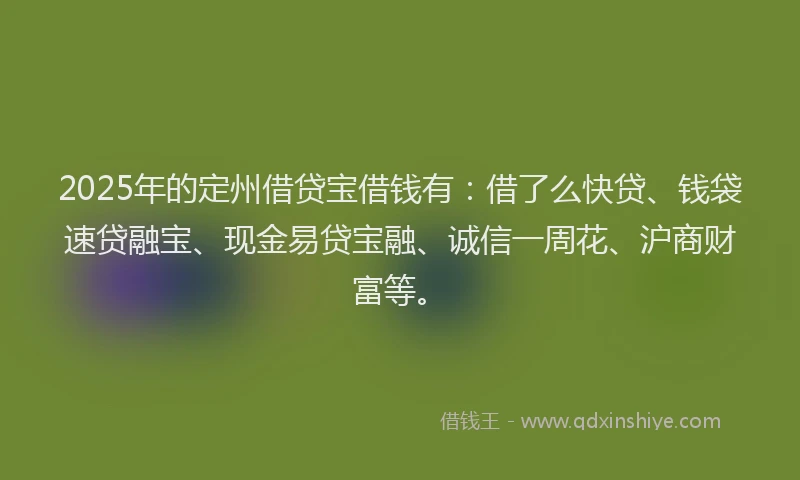 2025年的定州借贷宝借钱有：借了么快贷、钱袋速贷融宝、现金易贷宝融、诚信一周花、沪商财富等。