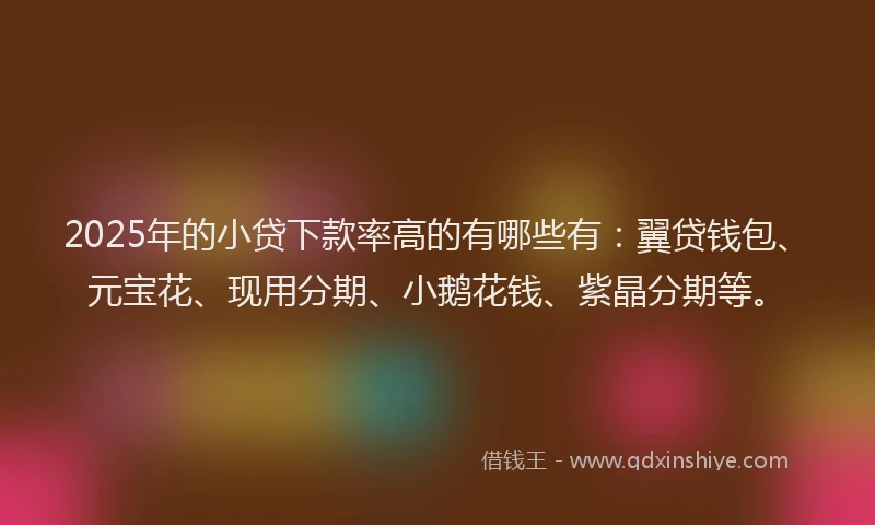 2025年的小贷下款率高的有哪些有：翼贷钱包、元宝花、现用分期、小鹅花钱、紫晶分期等。