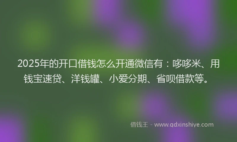 2025年的开口借钱怎么开通微信有：哆哆米、用钱宝速贷、洋钱罐、小爱分期、省呗借款等。