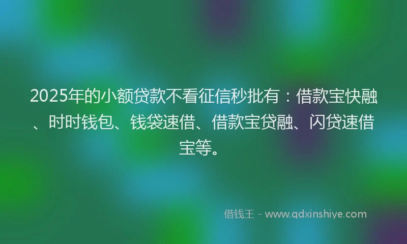 2025年的小额贷款不看征信秒批有：借款宝快融、时时钱包、钱袋速借、借款宝贷融、闪贷速借宝等。