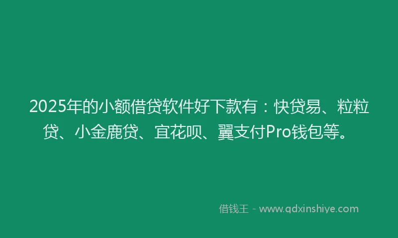 2025年的小额借贷软件好下款有：快贷易、粒粒贷、小金鹿贷、宜花呗、翼支付Pro钱包等。