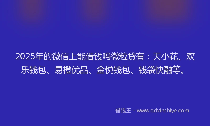 2025年的微信上能借钱吗微粒贷有：天小花、欢乐钱包、易橙优品、金悦钱包、钱袋快融等。