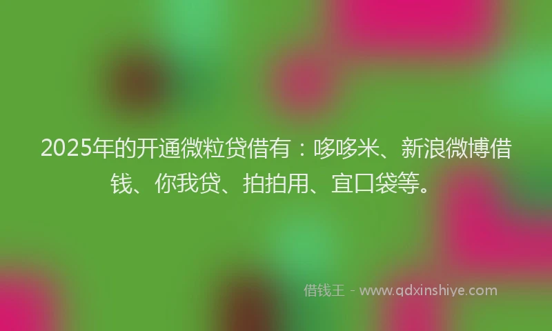 2025年的开通微粒贷借有：哆哆米、新浪微博借钱、你我贷、拍拍用、宜口袋等。
