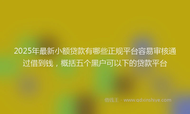 2025年最新小额贷款有哪些正规平台容易审核通过借到钱，概括五个黑户可以下的贷款平台