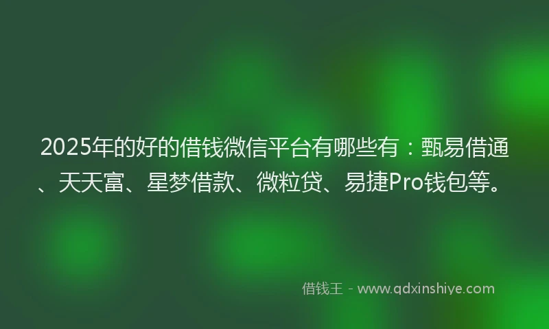 2025年的好的借钱微信平台有哪些有：甄易借通、天天富、星梦借款、微粒贷、易捷Pro钱包等。
