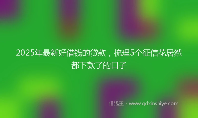2025年最新好借钱的贷款，梳理5个征信花居然都下款了的口子