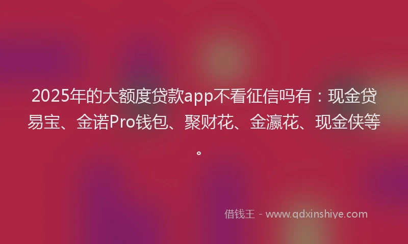 2025年的大额度贷款app不看征信吗有：现金贷易宝、金诺Pro钱包、聚财花、金瀛花、现金侠等。