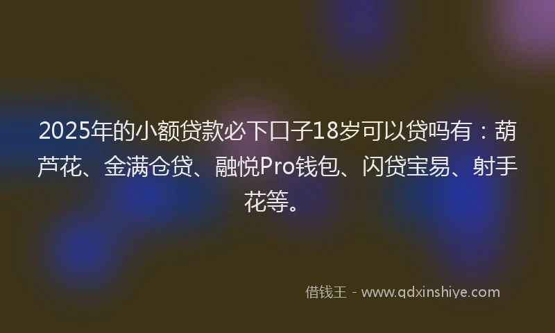 2025年的小额贷款必下口子18岁可以贷吗有：葫芦花、金满仓贷、融悦Pro钱包、闪贷宝易、射手花等。