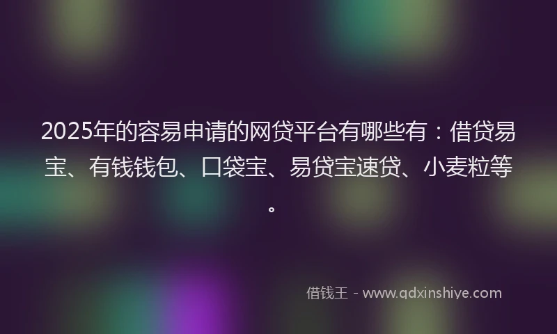 2025年的容易申请的网贷平台有哪些有：借贷易宝、有钱钱包、口袋宝、易贷宝速贷、小麦粒等。