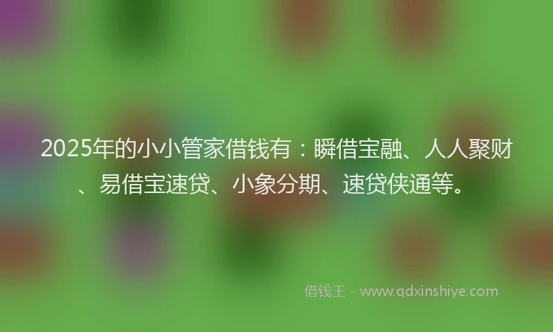 2025年的小小管家借钱有：瞬借宝融、人人聚财、易借宝速贷、小象分期、速贷侠通等。