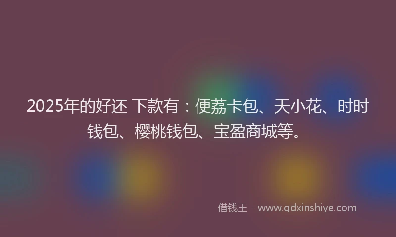 2025年的好还 下款有：便荔卡包、天小花、时时钱包、樱桃钱包、宝盈商城等。