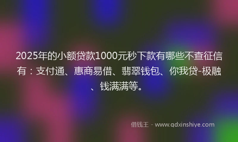 2025年的小额贷款1000元秒下款有哪些不查征信有：支付通、惠商易借、翡翠钱包、你我贷-极融、钱满满等。