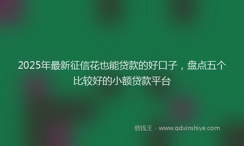 2025年最新征信花也能贷款的好口子，盘点五个比较好的小额贷款平台