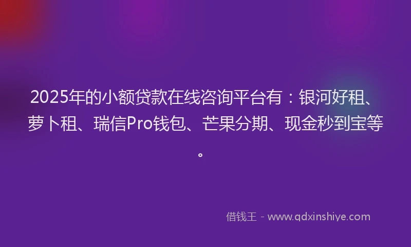 2025年的小额贷款在线咨询平台有：银河好租、萝卜租、瑞信Pro钱包、芒果分期、现金秒到宝等。