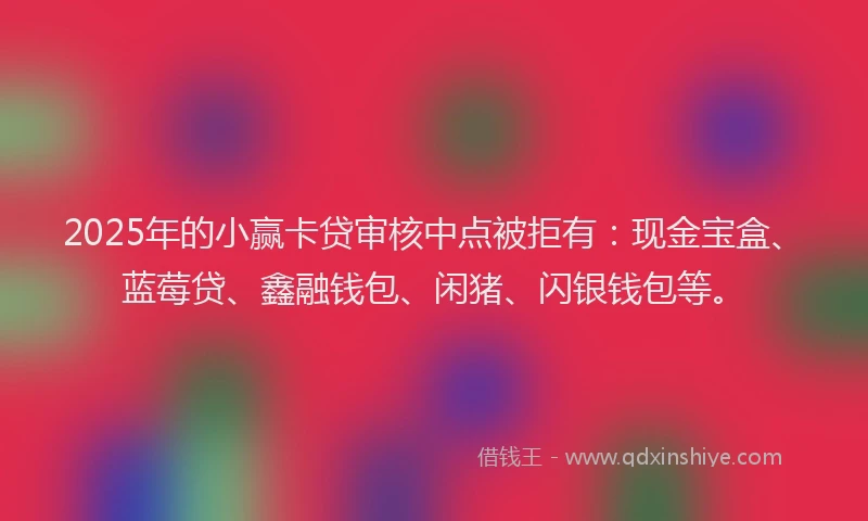 2025年的小赢卡贷审核中点被拒有：现金宝盒、蓝莓贷、鑫融钱包、闲猪、闪银钱包等。