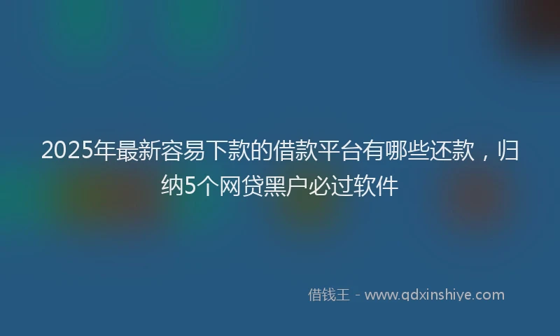 2025年最新容易下款的借款平台有哪些还款，归纳5个网贷黑户必过软件