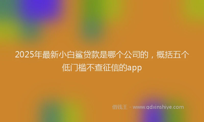2025年最新小白鲨贷款是哪个公司的，概括五个低门槛不查征信的app