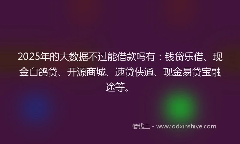 2025年的大数据不过能借款吗有：钱贷乐借、现金白鸽贷、开源商城、速贷侠通、现金易贷宝融途等。