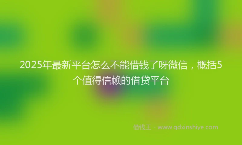 2025年最新平台怎么不能借钱了呀微信，概括5个值得信赖的借贷平台