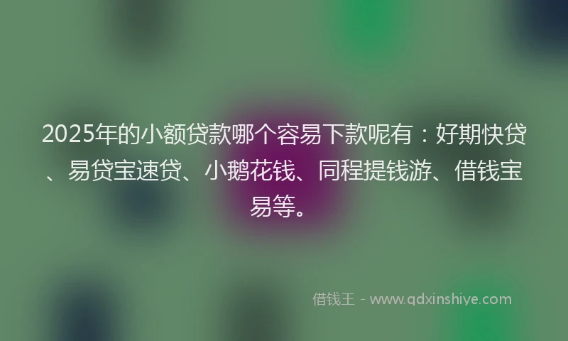 2025年的小额贷款哪个容易下款呢有：好期快贷、易贷宝速贷、小鹅花钱、同程提钱游、借钱宝易等。