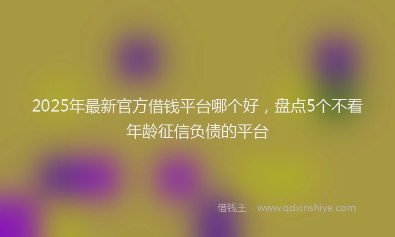 2025年最新官方借钱平台哪个好，盘点5个不看年龄征信负债的平台