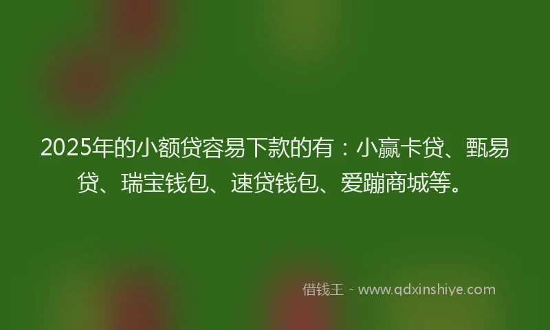 2025年的小额贷容易下款的有：小赢卡贷、甄易贷、瑞宝钱包、速贷钱包、爱蹦商城等。