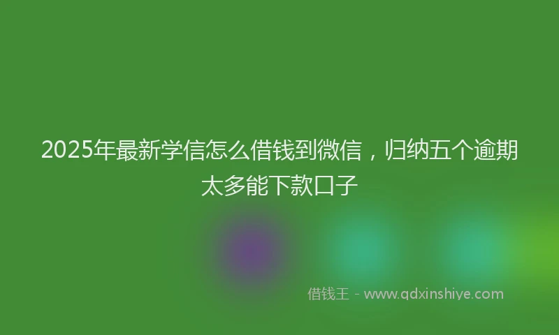 2025年最新学信怎么借钱到微信，归纳五个逾期太多能下款口子