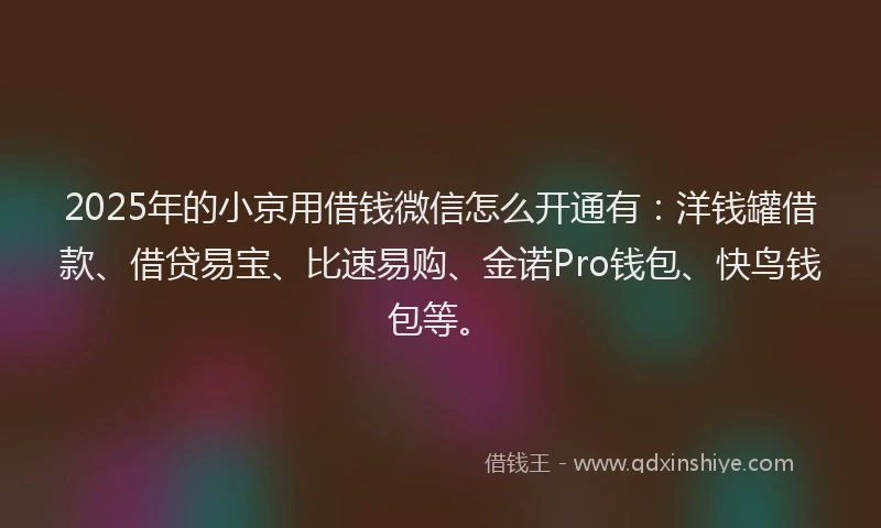 2025年的小京用借钱微信怎么开通有：洋钱罐借款、借贷易宝、比速易购、金诺Pro钱包、快鸟钱包等。