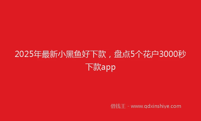 2025年最新小黑鱼好下款，盘点5个花户3000秒下款app