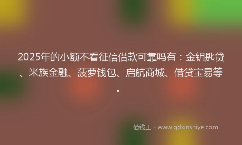 2025年的小额不看征信借款可靠吗有：金钥匙贷、米族金融、菠萝钱包、启航商城、借贷宝易等。