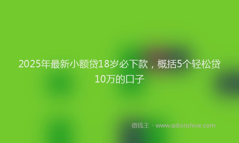 2025年最新小额贷18岁必下款，概括5个轻松贷10万的口子