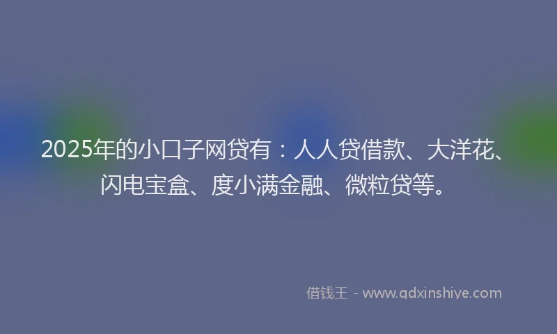 2025年的小口子网贷有：人人贷借款、大洋花、闪电宝盒、度小满金融、微粒贷等。