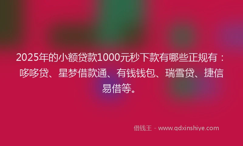 2025年的小额贷款1000元秒下款有哪些正规有：哆哆贷、星梦借款通、有钱钱包、瑞雪贷、捷信易借等。